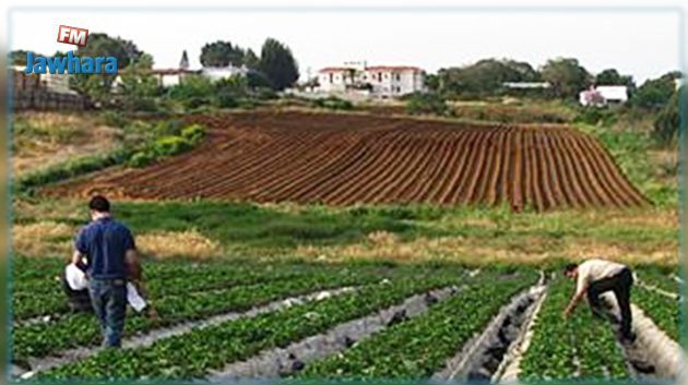 تونس تخطط لإعادة تأهيل 15 ألف هكتار من الأراضي الفلاحية