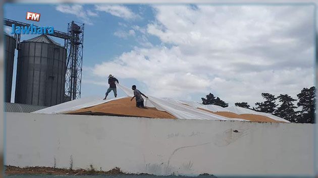 مدير عام المنافسة بوزارة التجارة : كل أجهزة الدولة و السلط الرقابية متجندة لحماية صابة الحبوب من التهريب