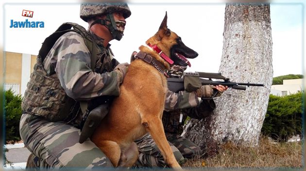 المركز العسكري السينوتقني: فضاء لصنع أبطال من نوع خاصّ