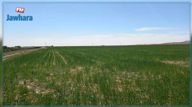 سوسة: الدّولة تسترجع عقارا دوليا فلاحيا بمساحة 32 هك