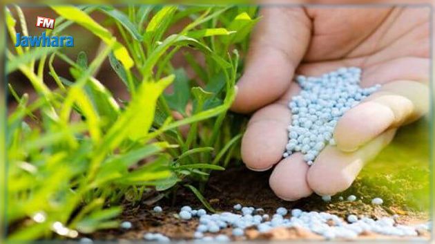 وزيرة الصناعة : تونس قد تكون إحدى البلدان القلائل المنتجة والمُصّدرة للأسمدة الخضراء