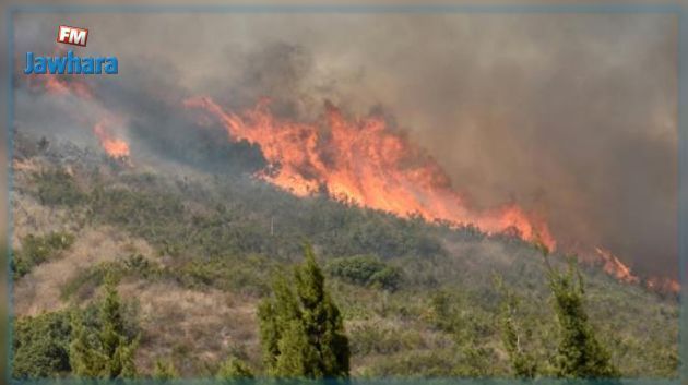 اندلاع حريق بالمنطقة العسكرية المغلقة بجبل السلوم