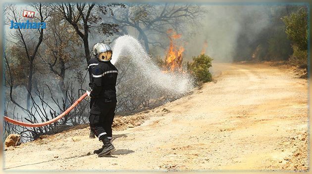 باجة: تواصل مجهودات الحماية المدنية للسيطرة على الحريق