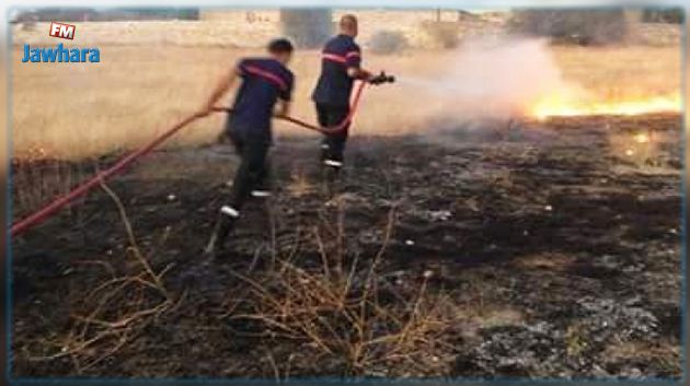  السيطرة على حريق جبل المرة الذى أتى على 180 هكتارا من المساحات الغابية والثروات الفلاحية