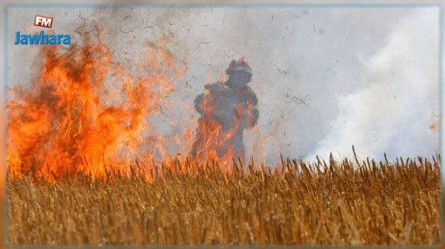 سليانة: السيطرة على حريق جبل مزاتة ببرقو بنسبة 90 بالمائة