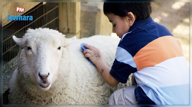 صفاقس: حملة تضامنية لاقتناء 100 أضحية لفائدة أطفال قرية