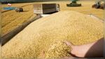 جمع 5.3 ملايين قنطار من الحبوب الى غاية 28 جوان 2022