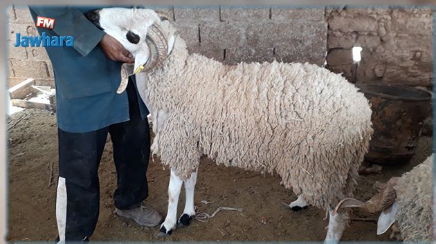 بعد يومين من خروجه من السجن.. يرتكب جريمة بشعة و السبب