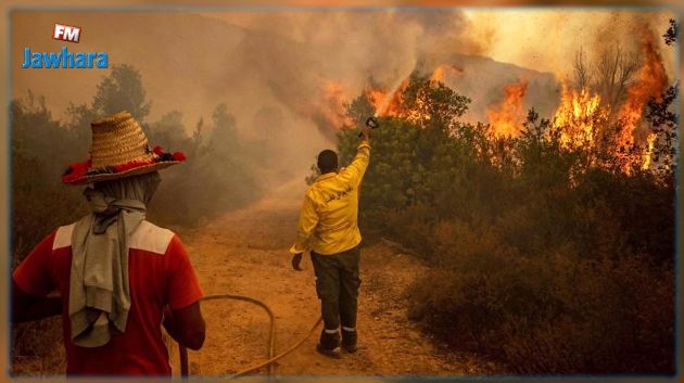 المغرب: حرائق غير مسبوقة تلتهم 6600 هكتار من الغابات