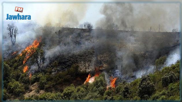 اندلاع حريق بجبل برج السدرية