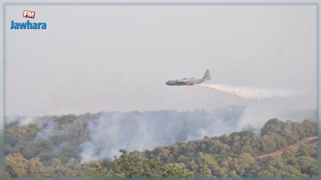 جيش الطيران: 40 طلعة جوية لإخماد الحريق بمنطقة برج السدرية (صور) 