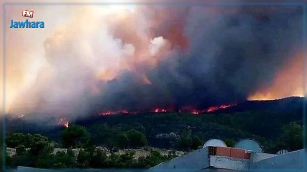 حريق جبل بوقرنين: معطيات حول المساحات المتضرّرة