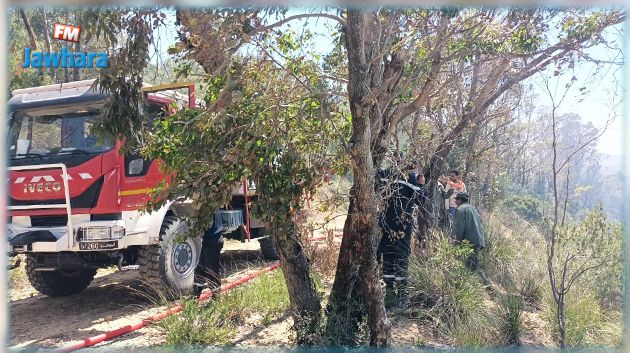 الفحص: حريق بجبل منصور يأتي على 200 هكتار من الأشجار الغابية