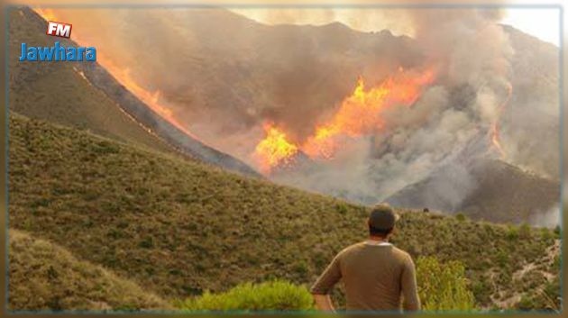 الوسلاتية : اندلاع حريق بمنطقة غابية