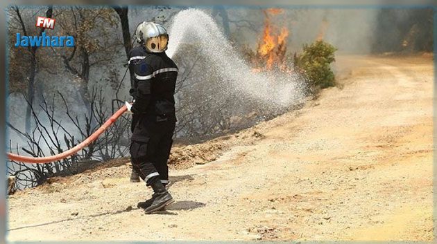 سليانة: توسّع رقعة حريق جبل البياض في برقو بسبب الريح القوية والشهيلي