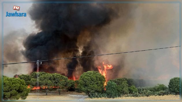 اندلاع 11 حريقا بـ8 ولايات