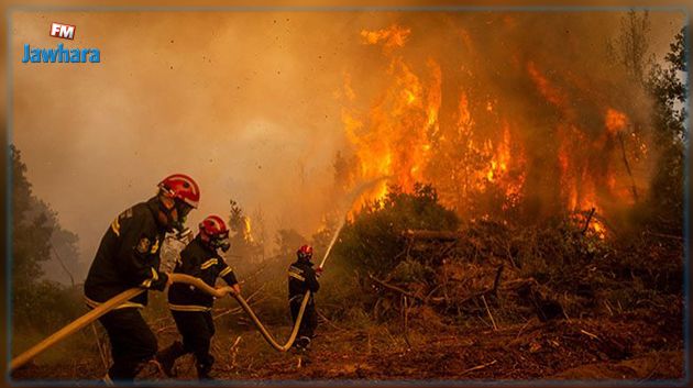 الحماية المدنيّة: تسجيل 118 حريقا بمختلف ولايات الجمهورية بين 1 جوان و26 جويلية الجاري