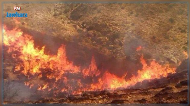 توسع حريق جبل الوسلاتية  