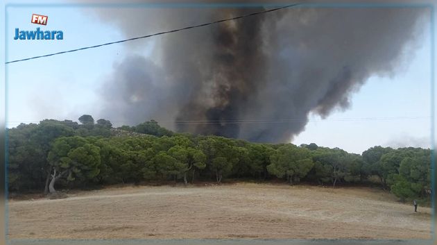 حريق يأتي على هكتارين من الغابات بجبل زغوان 