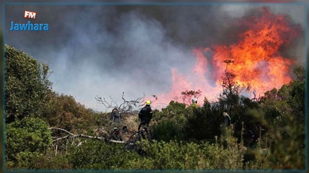 سليانة: الأمطار المتساقطة ساهمت في إخماد حريق جبل برقو بنسبة 50 بالمائة
