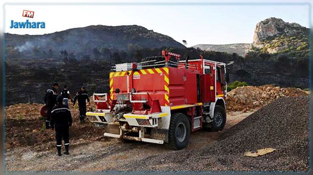 سليانة: السيطرة بنسبة كبيرة على حريق جبل برقو