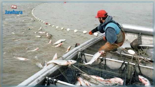 صفاقس: ندوة إقليمية حول التصدي للصيد العشوائي ‎‎