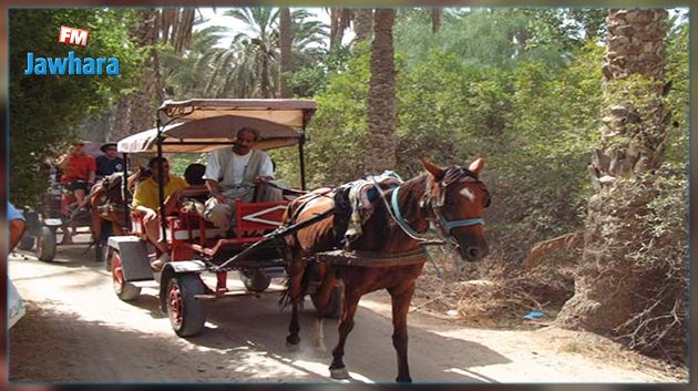 توزر.. وقفة احتجاجية وغلق الطّريق من طرف أصحاب العربات السياحية 