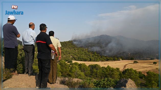 حريق برقو.. التقديرات الأولية للخسائر 