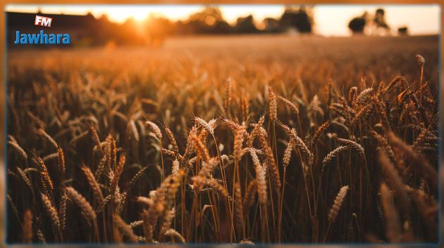 الكاف: تمديد آجال استرجاع ضيعة 