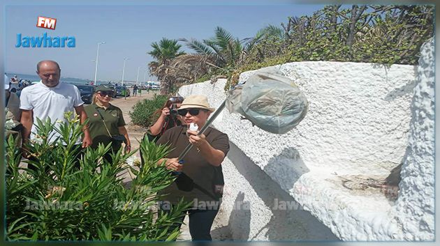 وزيرة البيئة تعطي اشارة انطلاق المبادرة الوطنية لشهر النظافة من نابل