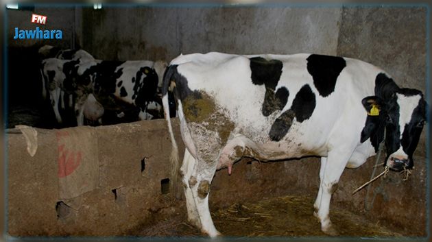 تدعو إلى اتخاذ التدابير اللازمة لمنع العدوى.. وزارة الفلاحة تسجل حالات من مرض 