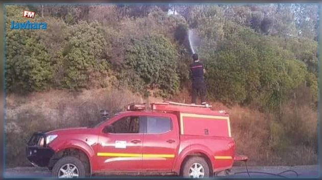 جندوبة.. اندلاع حرائق في عدة مناطق بالتّزامن مع ارتفاع شديد للحرارة (صور)