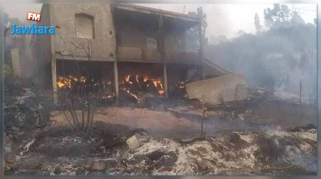 جندوبة.. حرائق متزامنة تقترب من المنازل ومن ثكنة عسكريّة