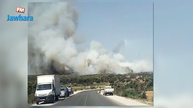 الهوارية.. اندلاع حريق بغابة زاوية المقايز