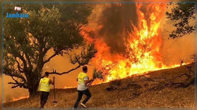 معز تريعة: حرائق طالت 6 ولايات في وقت متزامن 