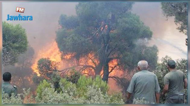 سليانة: تواصل جهود السيطرة على حريق اندلع بجبل لشيهب في الكريب