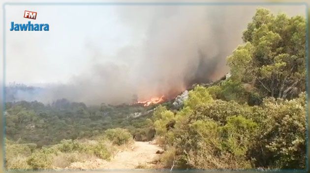 سليانة: السيطرة على حريق جبل لشيهب