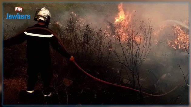 جندوبة: السيطرة على الحريق الذي اندلع بمنطقة جبل البياضة