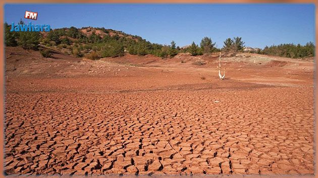 الجفاف يُهدّد نحو نصف أوروبا... ما المناطق الأكثر تأثّراً؟
