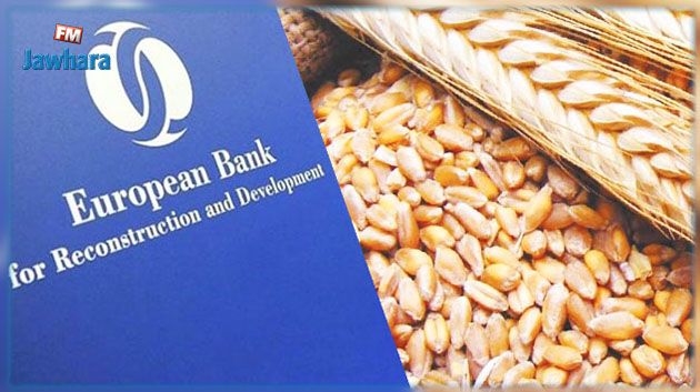البنك الأوروبي لإعادة الإعمار والتنمية يُقرض ديوان الحبوب حوالي 480 مليون دينار