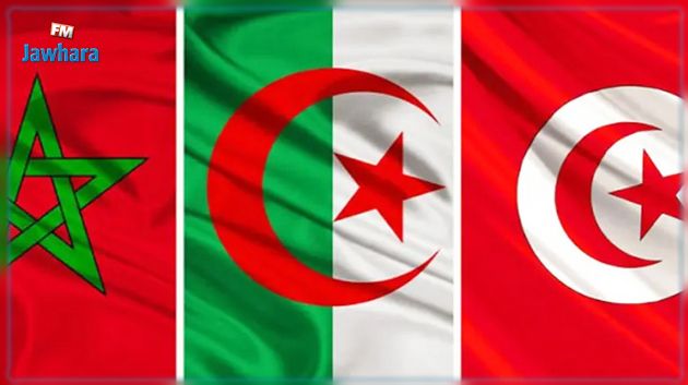 وكالة الأنباء الجزائرية: الذين يعتقدون أن تونس ضعيفة قد جانبوا الصواب تماما