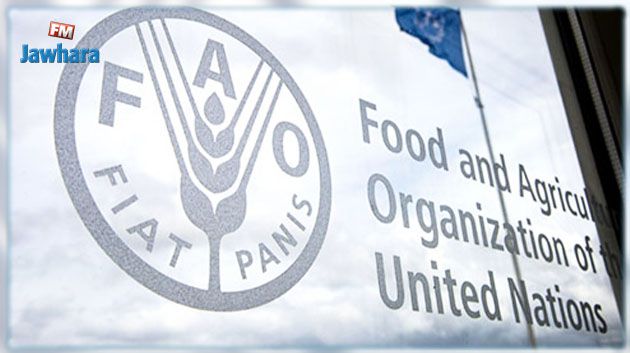 بالتعاون مع وزارة الفلاحة : الفاو تُنظّم دورة تدريبية إقليمية حول تربية الأحياء المائية