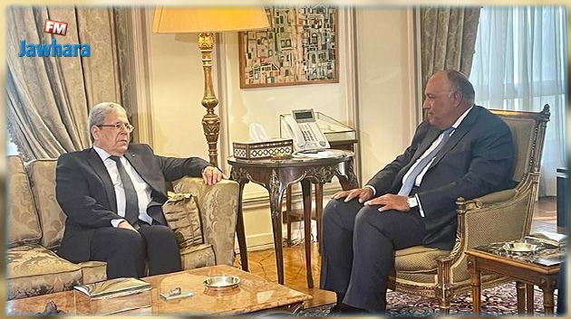 الجرندي يبحث مع نظيره المصري جدول اعمال مجلس وزراء الخارجية العرب و التعاون الثنائي