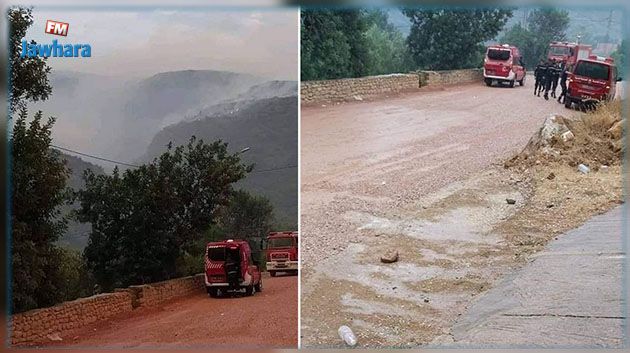سليانة.. جملة من التدخلات اثر هطول كمّيات هامة من الأمطار