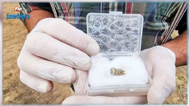 علماء يعثرون على سن بشريّة عمرها 1.8 مليون عام