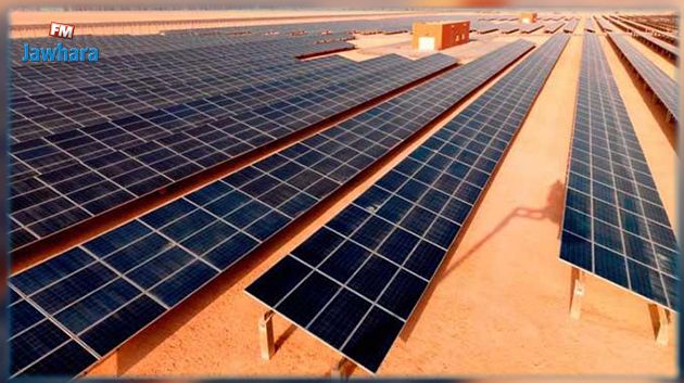 وزيرة الصناعة تدعو الألمان الى الاستثمار في مشاريع الطاقات المتجددة بتونس 