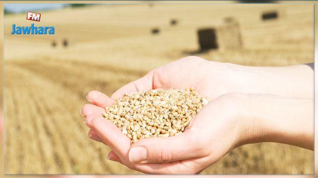 تونس في رسالة في أشغال في قمة الأمن الغذائي: التهديدات الحقيقية للأمن الغذائي تطال ملايين البشر