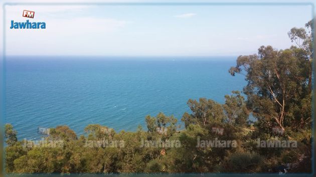 حالة الطقس اليوم الجمعة