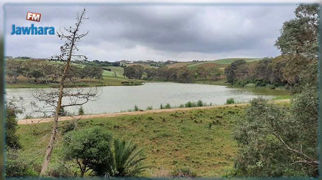 طقس اليوم: أجواء مغيمة ودرجات الحرارة لا تتجاوز 32 درجة