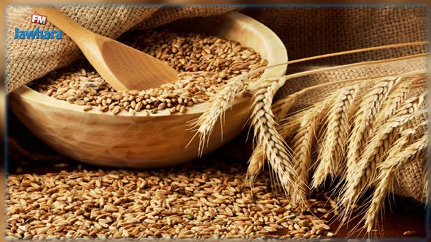 وزارة الفلاحة : اجراءات جديدة  للترفيع في إنتاج الحبوب وبلوغ الإكتفاء الذاتي من القمح الصلب